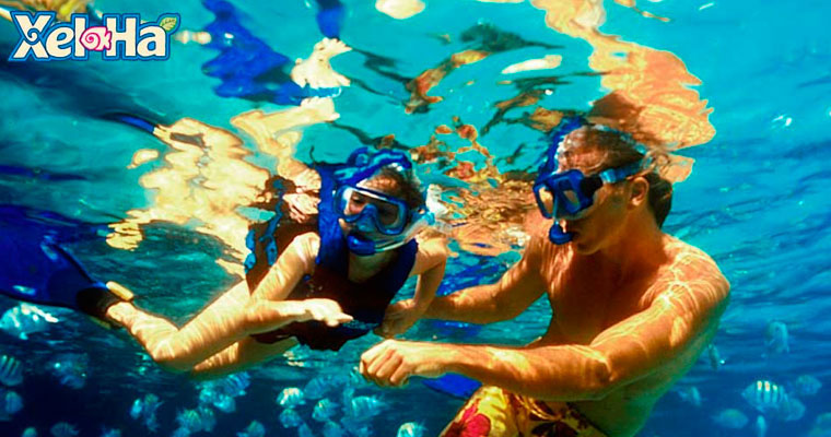  With the Xel-Ha Tour, your only concern will be to have fun!