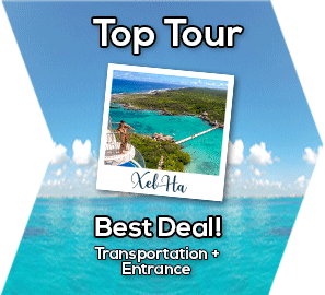 The Best Tours