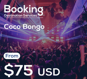 Coco Bongo | Suttle Transportation Coco Bongo